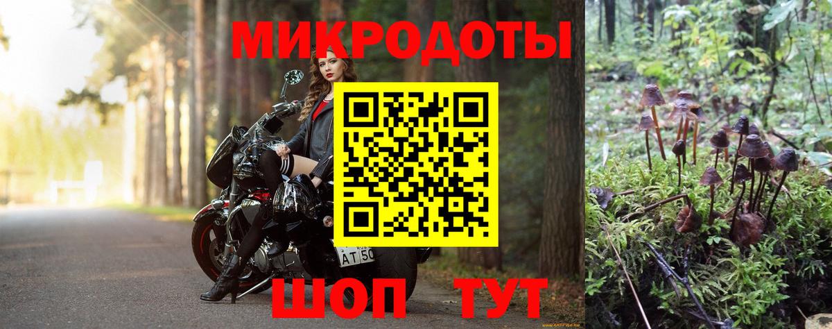 наркошоп  Вход с VPN  Белгород  Галлюциногенные грибы мицелий 